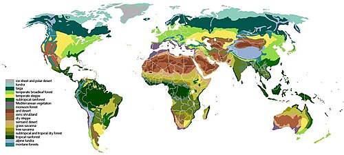 World biomes are based upon the type of dominant plant.