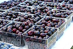 Michigan is the leading U.S. producer of tart cherries, blueberries, pickled cucumbers, navy beans, and petunias