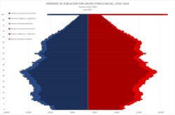 Population pyramid of Chile by ethnicity/race, 2024 census.