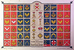 Badges of rank published in an 1883 boys' magazine. Appointments varied by branch (cavalry, artillery, engineers and infantry) but shared common ranks and insignia.