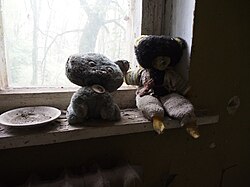 Abandoned objects in the evacuation zone