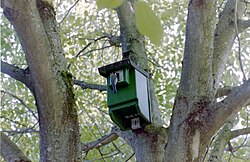 A nest box in Altenbeken, Germany