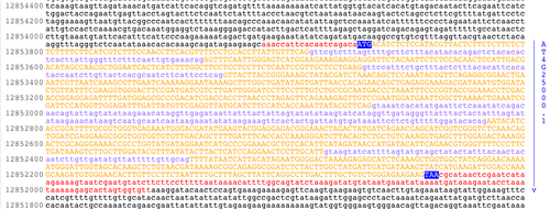 Genetic sequence in digital format.