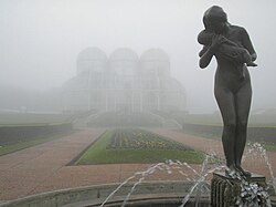 Fog in the Botanical Garden