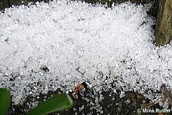 ภาพประกอบบทความ
