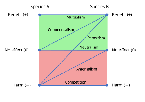 The six possible types of symbiotic relationship, from mutual benefit to mutual harm