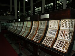 Lepidoptera collection in Cherni Osam Natural Sciences Museum, Troyan, Bulgaria
