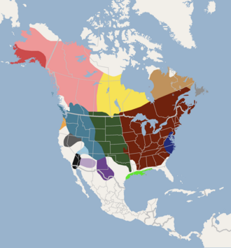Distribution of subspecies in North America. O. z. zibethicus O. z. albus O. z. aquilonius O. z. bernardi O. z. cinnamominus O. z. goldmani O. z. macrodon O. z. mergens O. z. obscurus O. z. occipitalis O. z. osoyoosensis O. z. pallidus O. z. ripensis O. z. rivalicus O. z. spatulatus O. z. zalophus