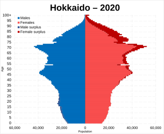 Hokkaido population pyramid in 2020