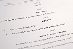 The Charter of Fundamental Rights of the European Union contains a wide range of political, social, and economic rights for EU citizens.