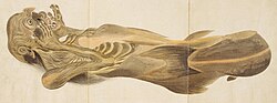 An alleged ningyo or merman/mermaid specimen (side view) ―Baien's sketch (1825)