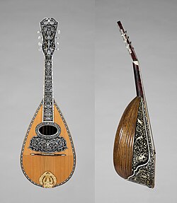 Neapolitan mandolin.