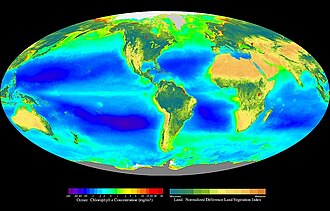 Globally, terrestrial and oceanic habitats produce a similar amount of new biomass each year (56.4 billion tonnes C terrestrial and 48.5 billion tonnes C oceanic).