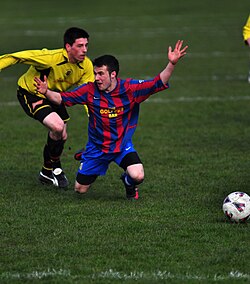 The player in blue and red's raised arms and look at the referee indicate a possible dive.