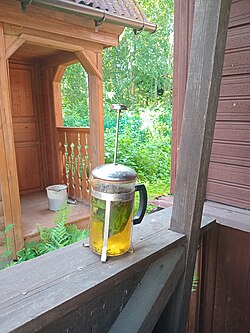 Tea with fresh black currant leaves