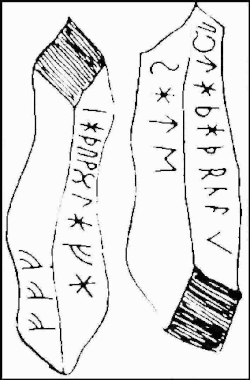 An illustration of the Gummarp Runestone (500–700 AD) from Blekinge, Sweden