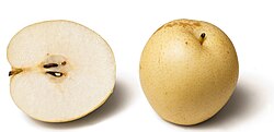 Varieties such as the Nashi pear are not "pear-shaped".