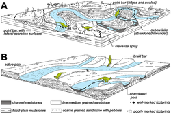 Diagram showing how dinosaur footprints preserve in different deposits