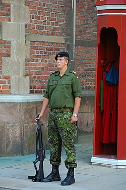 A conscript from the Royal Life Guards standing guard at Rosenborg Castle