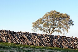 A long pile of harvested cork bark stacked in a grassy field.