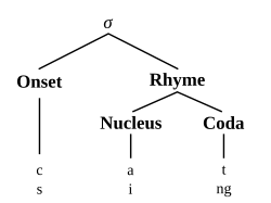 Hierarchical model for cat and sing