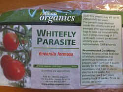 Encarsia formosa, widely used in greenhouse horticulture, was one of the first biological control agents developed.