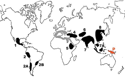 Area 3 is no longer recognized as a center of origin. New Guinea (area P) was identified more recently.[13][14]