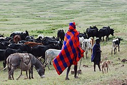 IUCN's relationships with local land users like the Maasai have caused controversy in the past.