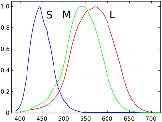 Normalized responsivity spectra of human cone cells, S, M, and L types.