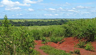 Equatorial savanna in the East Province of Cameroon