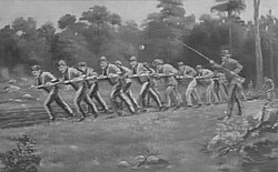 A convict ploughing team breaking up new ground at the farm at Port Arthur