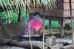 Yagua woman preparing fish for dinner, Libertad (Colombia)