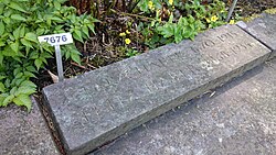 The grave of Fritz and Clara Haber (née Immerwahr) in the Hörnli graveyard of Basel, Switzerland
