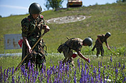 Kyrgyz soldiers conducting mine sweeping exercises