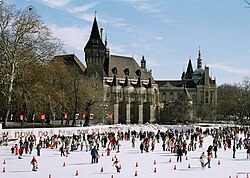 The City Park Ice Rink, located in the City Park; the Vajdahunyad Castle is in the background.