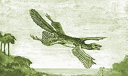 William Beebe's hypothetical "Tetrapteryx" with four wings, 1915