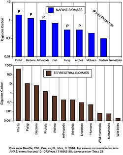 A graph showing the relative abundance of terrestrial and marine biomasses, expressed in gigatons of carbon contained within each type of life form.