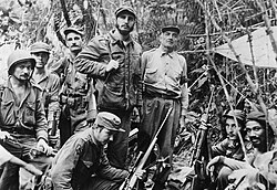 Granma survivors in the Sierra Maestra. Fidel Castro stands at center. Che Guevara stands second from left.