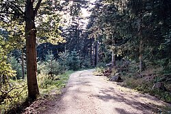 Black Forest track