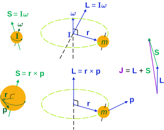 Angular momenta of a classical object.Left: "spin" angular momentum S is really orbital angular momentum of the object at every point.Right: extrinsic orbital angular momentum L about an axis.Top: the moment of inertia tensor I and angular velocity ω (L is not always parallel to ω).[36]Bottom: momentum p and its radial position r from the axis. The total angular momentum (spin plus orbital) is J. For a quantum particle the interpretations are different; particle spin does not have the above interpretation.