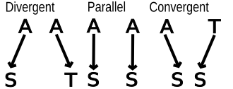 Evolution at an amino acid position. In each case, the left-hand species changes from incorporating alanine (A) at a specific position within a protein in a hypothetical common ancestor deduced from comparison of sequences of several species, and now incorporates serine (S) in its present-day form. The right-hand species may undergo divergent evolution (alanine replaced with threonine instead), parallel evolution (alanine also replaced with serine), or convergent evolution (threonine replaced with serine) at this amino acid position relative to that of the first species.