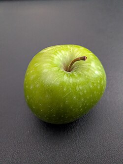 The Granny Smith apple is round in shape, light green in color, and has white spots scattered across its surface.
