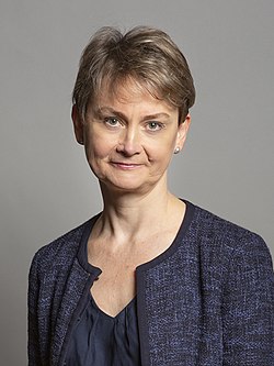 MP portrait, 2019