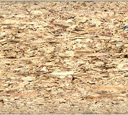 Cross section of a particle board