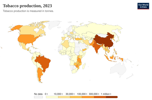 Tobacco production