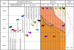 Biostratigraphy of ruminants from the Oligocene of western Europe