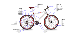 Schematic diagram of a bicycle