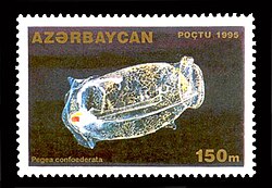 Pegea confederata on a 1995 stamp from Azerbaijan