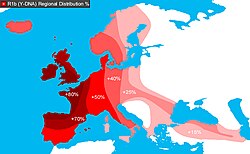 R1b-DNA-Distribution
