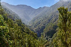 Remaining patches of Macaronesia's threatened primeval laurisilva forest, except in Cape Verde, were protected by EU law in 2001.